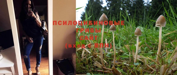 мяу мяу мука Алексеевка