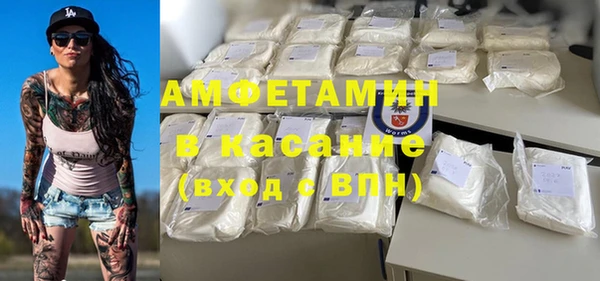 ГАЛЛЮЦИНОГЕННЫЕ ГРИБЫ Алзамай
