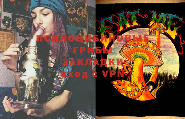 ГАЛЛЮЦИНОГЕННЫЕ ГРИБЫ Алзамай