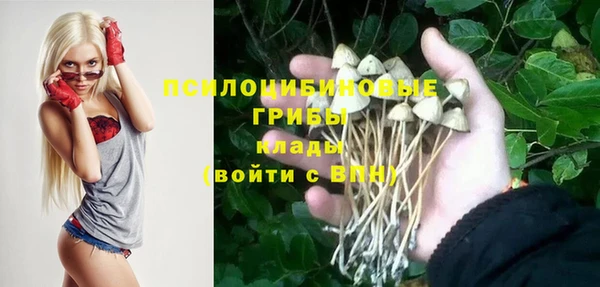 ГАЛЛЮЦИНОГЕННЫЕ ГРИБЫ Алзамай